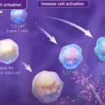 <b>Stelara</b><br>Crohn's Disease and Ulcerative Colitis